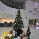 롯데스카이힐김해 컨트리클럽 | 포웰cc김해(구 롯데스카이힐cc김해) 안개 라운딩 후 맛점후기