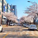 GS25안산천남점 네이버블로그