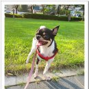 아이조아요양보호소 대구점 이미지