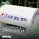 자작나무숲민박 | 원대리 자작나무 숲 (속삭이는 자작나무 숲) 근처 숙소 추천 3곳: 가격과 후기 장단점 정리