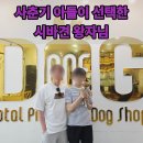 아즈키 | 아즈키시바 분양 후기, 두번 방문에 가족 된 시바견 왕자님