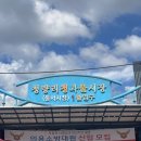 청과물시장 | 경동시장 떨이 노리고 갔다가, 청량리 청과물시장까지 휩쓸고 온 후기