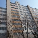 탄현로1번길 네이버블로그