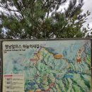 청수좌골 영축산 신불재 신불산자연휴야림 이미지