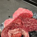 장수하늘소농장 이미지