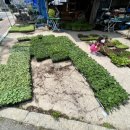 한일종묘농약사 이미지