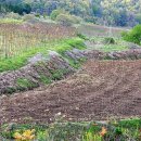 무성축산 이미지