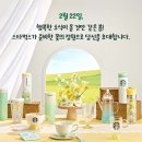 스프링;봄 이미지