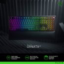 ⌨️ 레이저 Ornata Chroma 구매 전 필독! 장단점 완전 정리