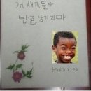 한쿡 이미지