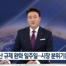 데이터정경연구원 | 부동산 규제완화 일주일... 시장 영향은? /KBS뉴스 연세대 정경대학원 금융부동산학과 한문도 교수- 후기