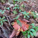 청춘사업 이미지