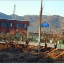 빛고을반점 이미지