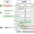 (주)주천약품 | 유명 노화 학자 30명의 일상 안티에이징 (항노화) 방법 정리