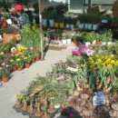 화순재래시장 이미지