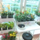 하트커피 이미지