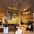 초콜릿 하우스(평일) 이미지