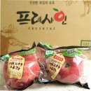 충주거점산지유통센터 | 겉은 멀쩡, 속은 썩었다? 충주 APC의 놀라운 사과 선별 기술: FTA가 이뤄낸 변화