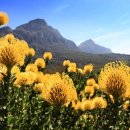 고대1086 이미지