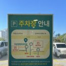 문막동물병원 | [원주 소아 정형외과] 지성정형외과 다지합지증 수술부위 드레싱