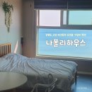 나폴리하우스 | 강원도 고성 애견동반 가성비 숙소 나폴리하우스