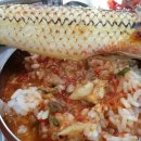 통영 루지 횟집 곤리도횟집 멍게비빔밥 편