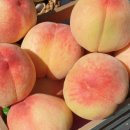 세종농장 이미지