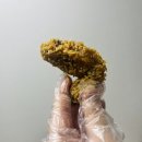 비에이치씨봉담