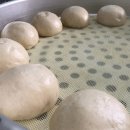옥천찐빵 티스토리