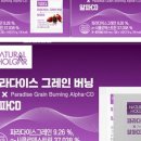(주)더올가 네이버블로그