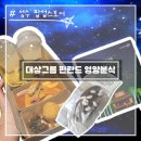 부림에너지정비코너 | [성수] 먹거리, 볼거리가 많은 팝업스토어! &lt;대상그룹 핀란드 영양분식&gt; (f.미쉐린3스타 휘낭시에)