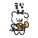 샤브마니아 광양점 이미지