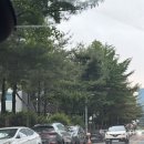 둔산큰별어린이집 | 대전│탄방동 둔산 돌짜장 방문 후기/탄방동 중식 추천