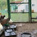 명대농장 이미지