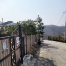 산타펜션 | 애견동반 가능한 연천펜션 추천, 산타와미니 펜션 후기!
