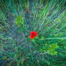 동강둔치 이미지