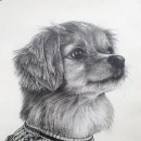 연필화&팝아트 이미지