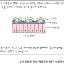 상림한의원 | 감기 후 코딱지가 심해졌다면? 코건조와 비염 때문일 수 있습니다- 감기이후 코증상 3편