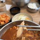 오늘은 어떤 닭 이미지
