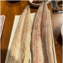 수월풍천장어 이미지