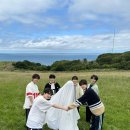 스테디안 네이버블로그