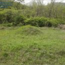 회산리 마을회관 이미지