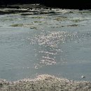 제주기억 이미지