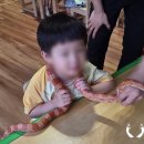 해빛유치원 이미지