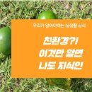 국립농산물품질관리원 제주지원 서귀포사무소 이미지