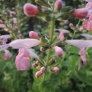 (주)세이지 이미지