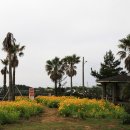 노을해안로 이미지