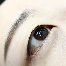 인계동속눈썹 눈썹쟁이 영양가득 속눈썹펌 후기