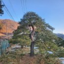 구암동387 이미지