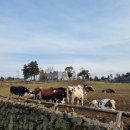 자라목장 이미지